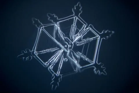 Real snowflake 스톡 사진