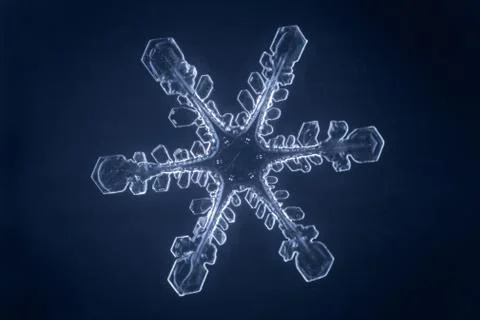 Real snowflake Stock Photos