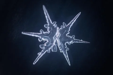 Real snowflake Stock Photos