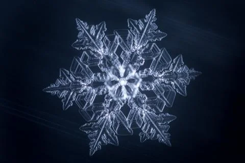 Real snowflake 스톡 사진