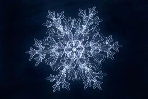 Real snowflake 스톡 사진