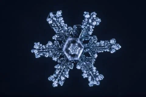 Real snowflake Stock Photos