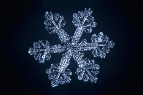 Real snowflake 스톡 사진