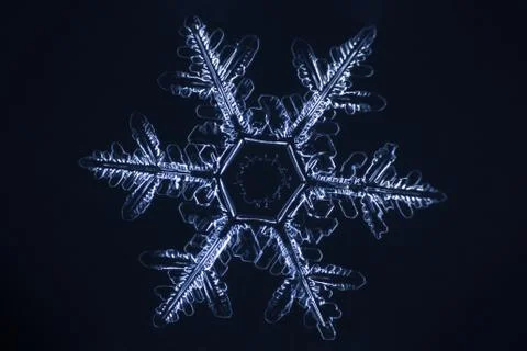 Real snowflake Stock Photos