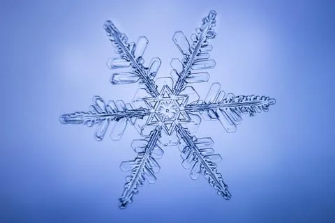 Real snowflake 스톡 사진