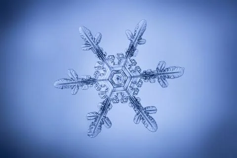 Real snowflake Stock Photos