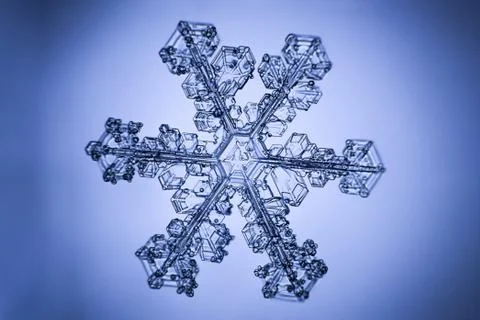 Real snowflake 스톡 사진
