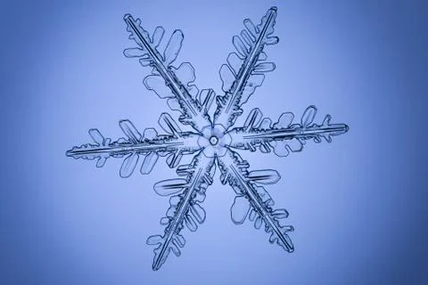 Real snowflake Stock Photos
