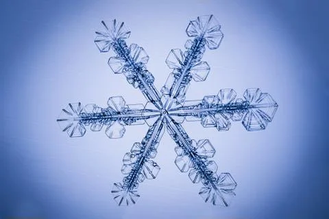 Real snowflake Stock Photos