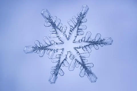 Real snowflake Stock Photos
