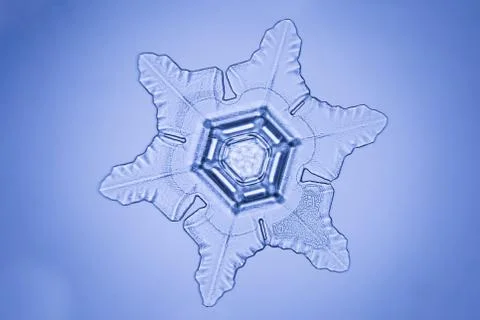 Real snowflake Stock Photos