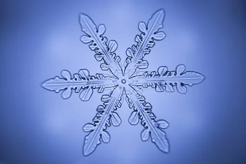 Real snowflake Stock Photos