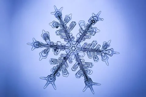 Real snowflake Stock Photos