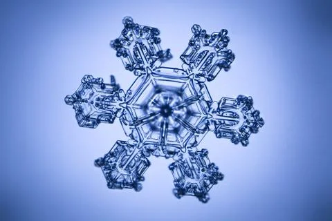 Real snowflake Stock Photos