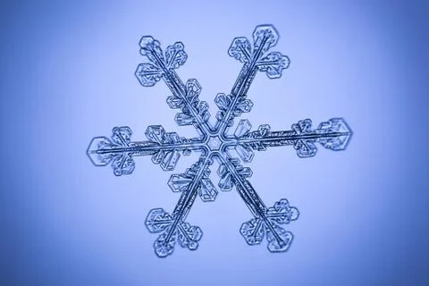 Real snowflake Stock Photos