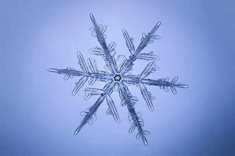 Real snowflake 스톡 사진