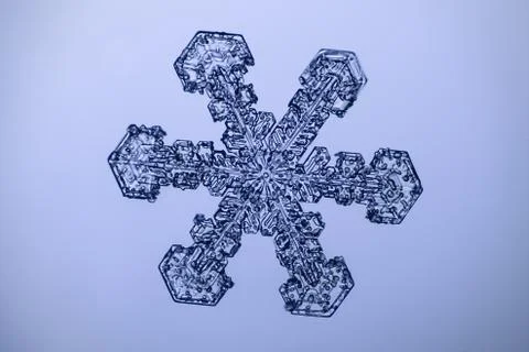Real snowflake 스톡 사진
