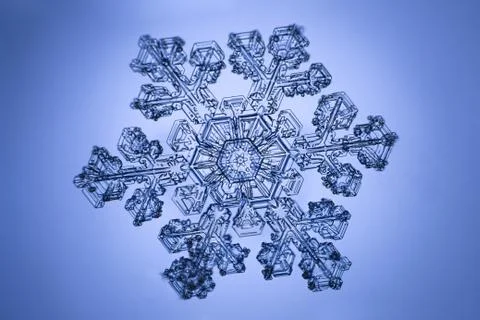Real snowflake Stock Photos