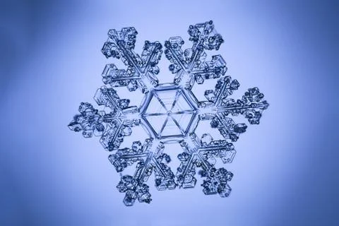 Real snowflake Stock Photos