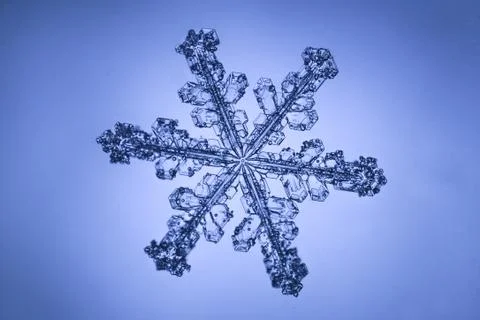 Real snowflake 스톡 사진