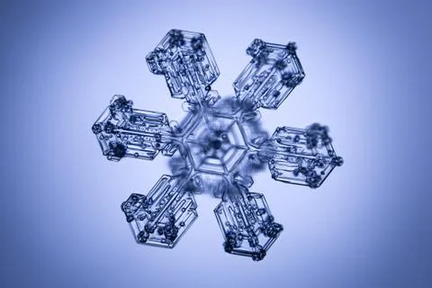 Real snowflake 스톡 사진