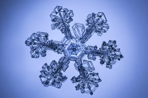 Real snowflake Stock Photos