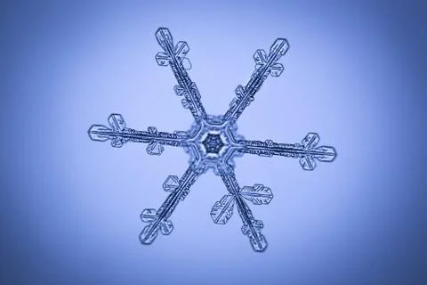 Real snowflake Stock Photos