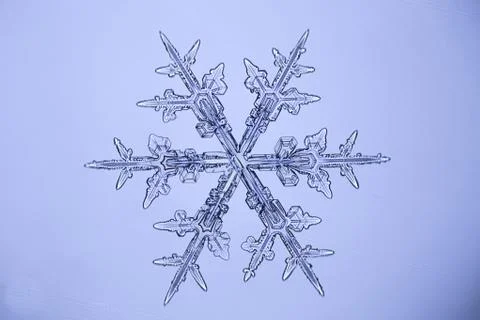 Real snowflake Stock Photos