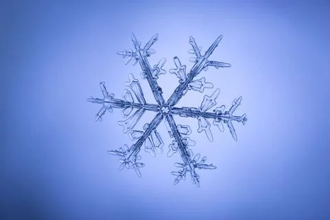 Real snowflake Stock Photos