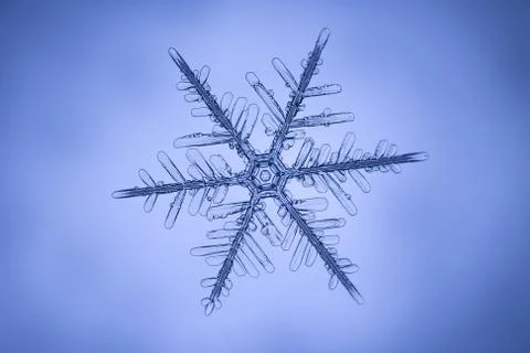 Real snowflake Stock Photos