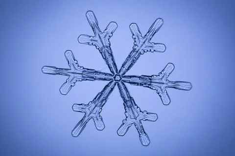 Real snowflake 스톡 사진
