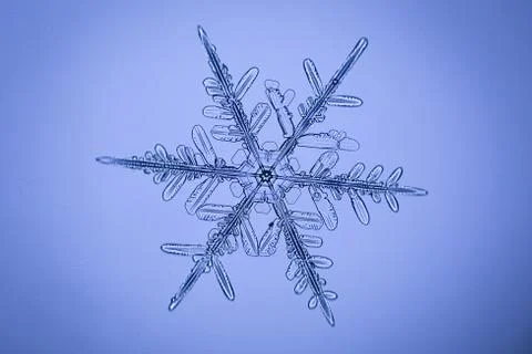 Real snowflake Stock Photos
