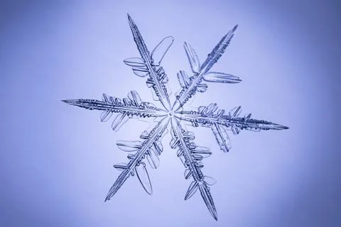 Real snowflake 스톡 사진