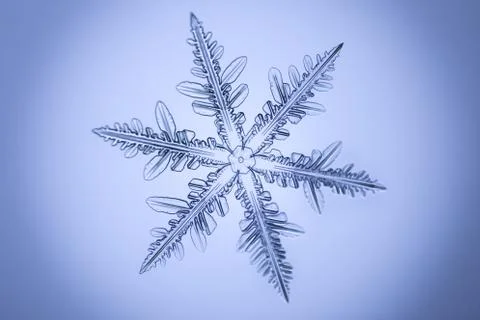 Real snowflake Stock Photos