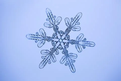 Real snowflake 스톡 사진