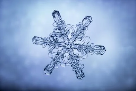 Real snowflake 스톡 사진