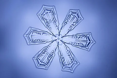 Real snowflake 스톡 사진