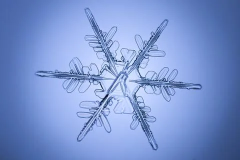 Real snowflake Stock Photos