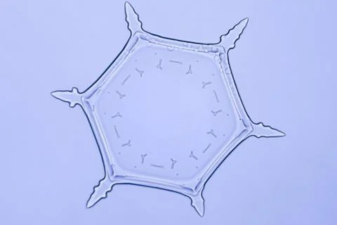 Real snowflake 스톡 사진