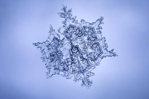 Real snowflake Stock Photos