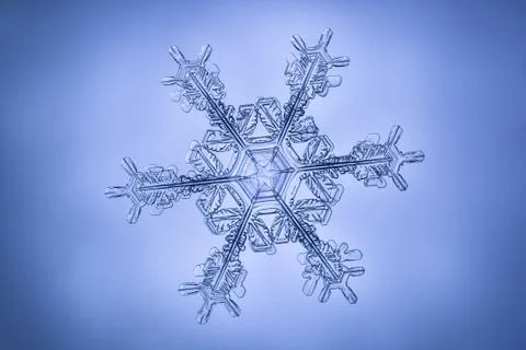 Real snowflake Stock Photos