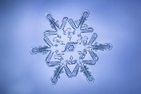 Real snowflake Stock Photos