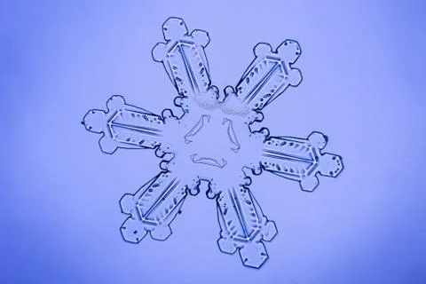 Real snowflake Stock Photos