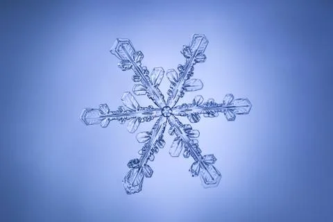 Real snowflake 스톡 사진