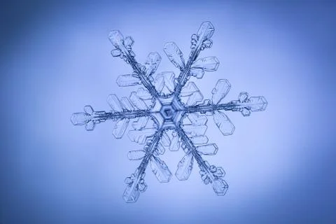 Real snowflake 스톡 사진