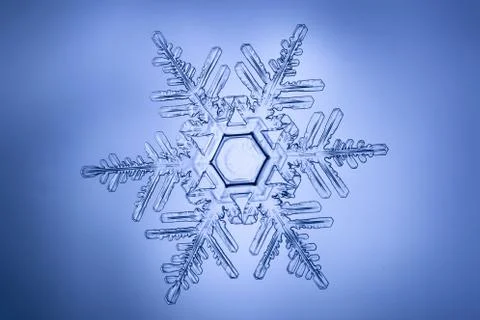 Real snowflake Stock Photos