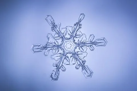Real snowflake Stock Photos
