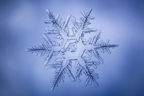 Real snowflake 스톡 사진