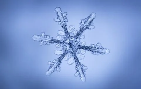 Real snowflake Stock Photos