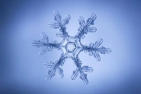 Real snowflake Stock Photos
